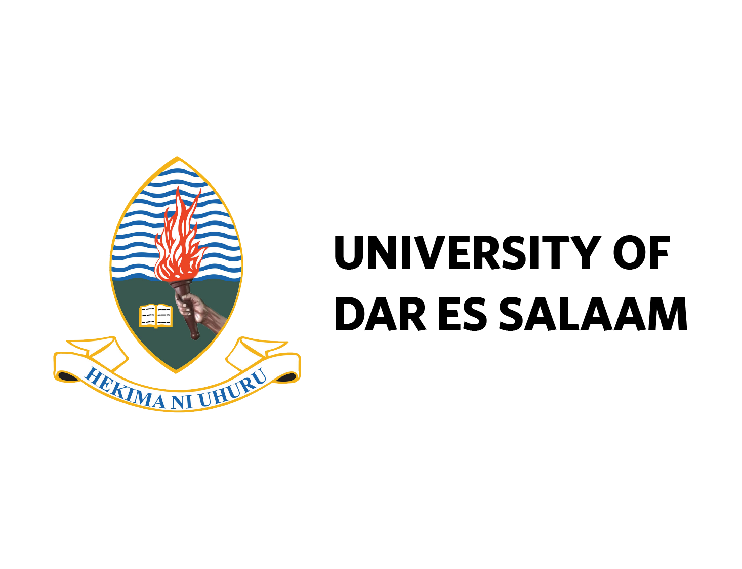 University of Dar es Salaam
